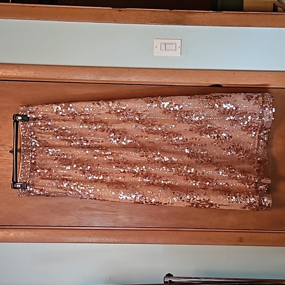 Zara Dresses & Skirts - Zara Gold Sequined Maxi Skirt sz Large